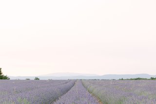 Mariage romantique au Château de Mille, Apt, Vaucluse