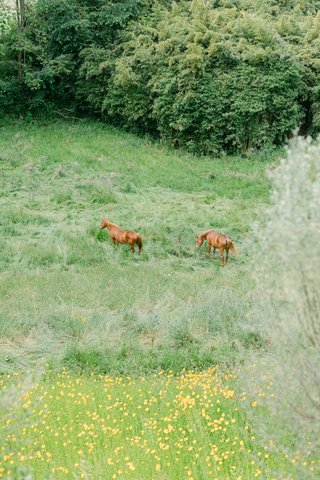 Inspiration naturelle
