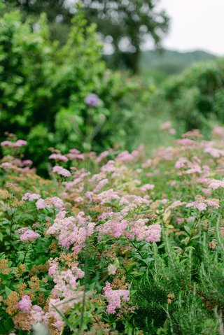 Details of a destination wedding in France
