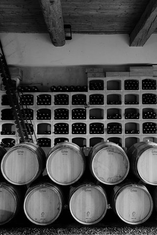 Mariage dans un domaine viticole de l'Aude