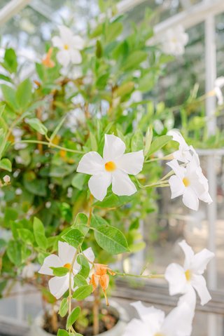 Destination wedding in France Destination wedding in France