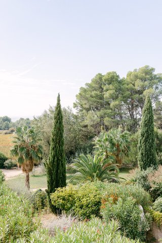 Beautiful garden, Château Les Carrasses Beautiful garden, Château Les Carrasses