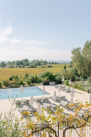 Vue sur les vignobles depuis la terrasse