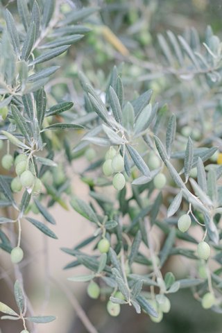 Château l’Hospitalet mariage