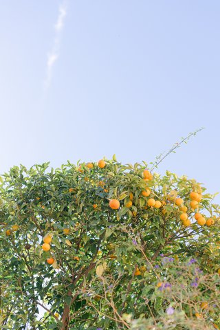 Destination wedding Carcassonne