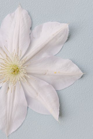 Photographe mariage Carcassonne