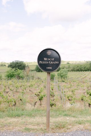 Les vignobles qui entourent le château au cœur du Languedoc. Les vignobles qui entourent le château au cœur du Languedoc.
