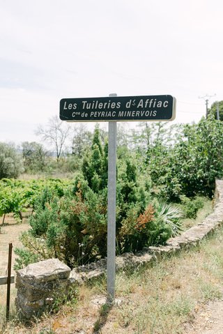 Vineyard wedding France Vineyard wedding France