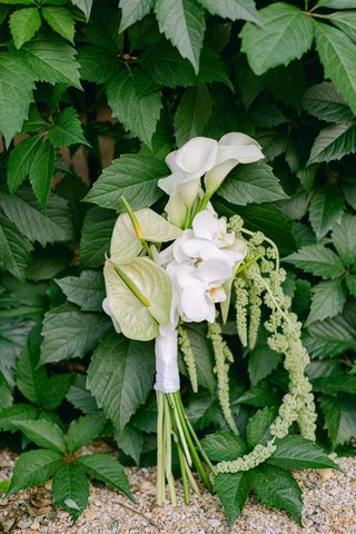 Organic florals inspired by the Mediterranean surrounding Organic florals inspired by the Mediterranean surrounding